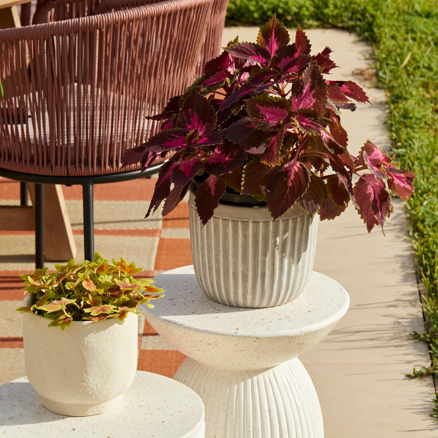 Paprika Mother of Pearl Terrazzo - Accessories - Laura James