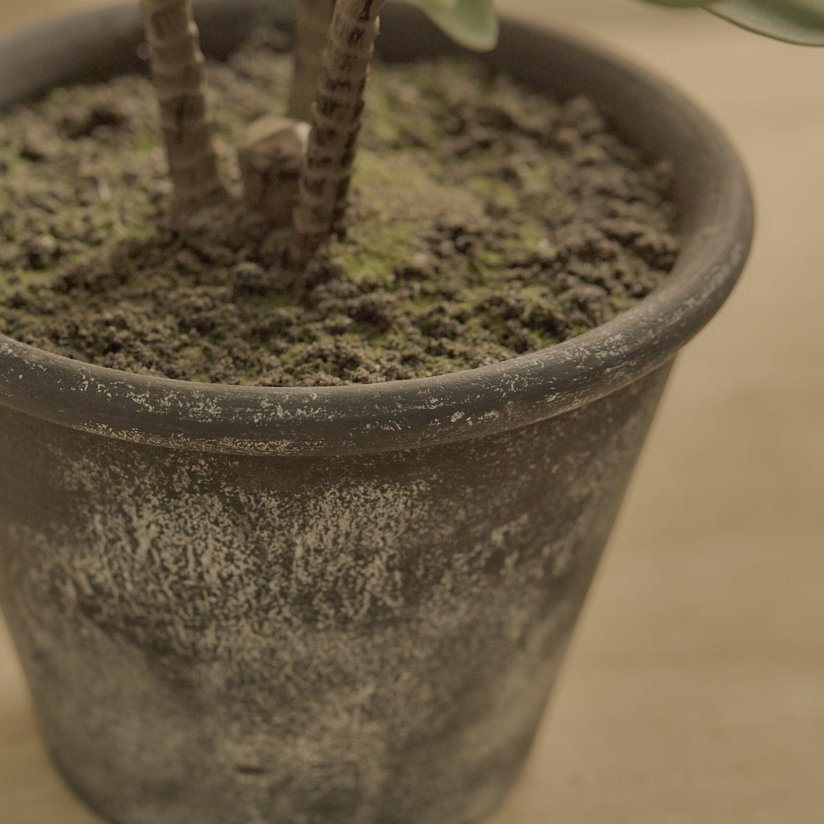 Kew 48cm Succulent In Paper Mache Pot - Laura James