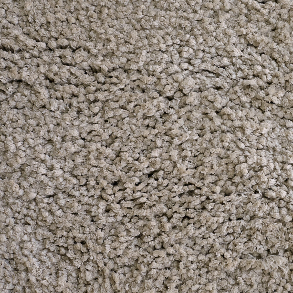 Kingsley Polyester Rug 200x290cm - Taupe - Laura James