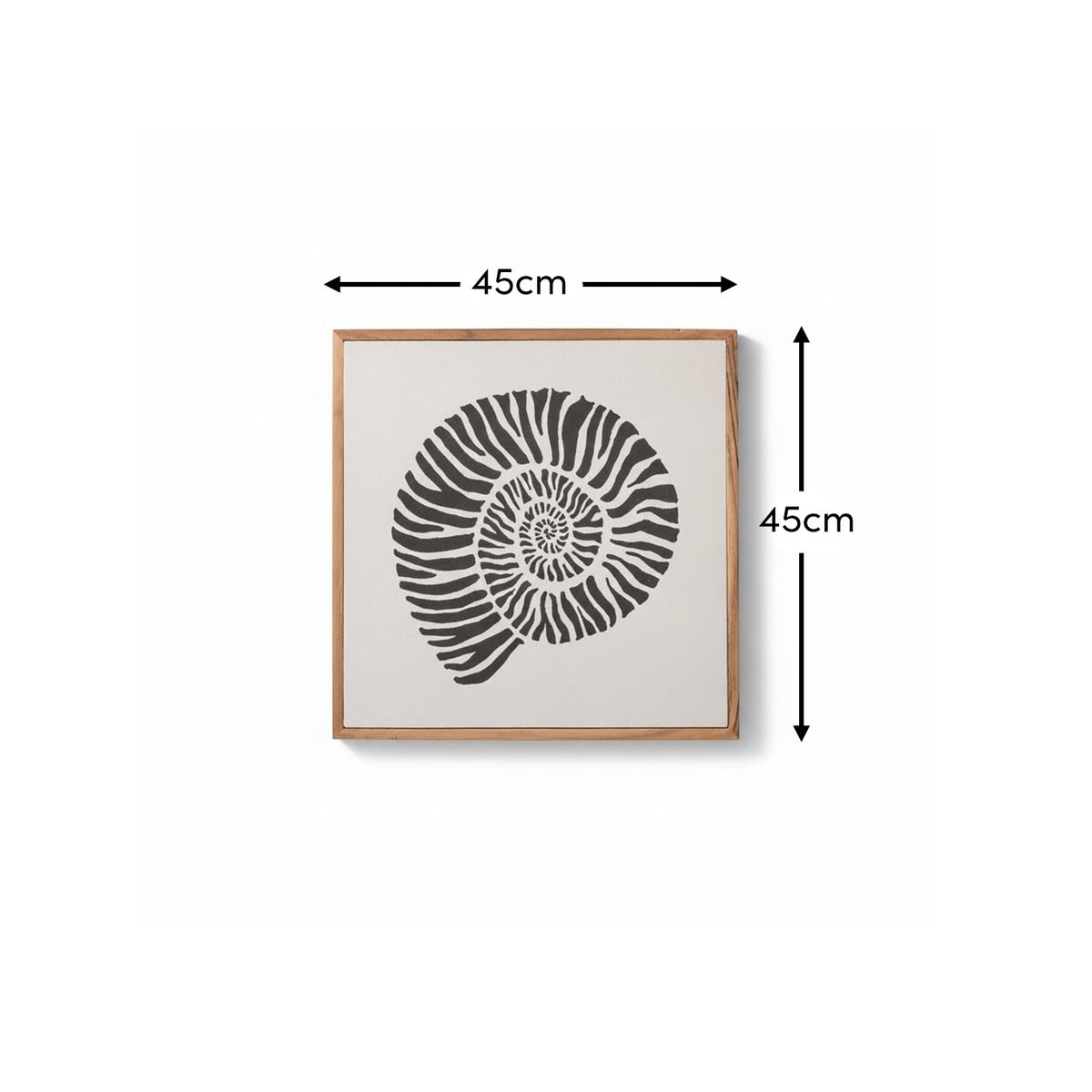 Newlyn 45x45cm Wall Art - Shell I - Laura James