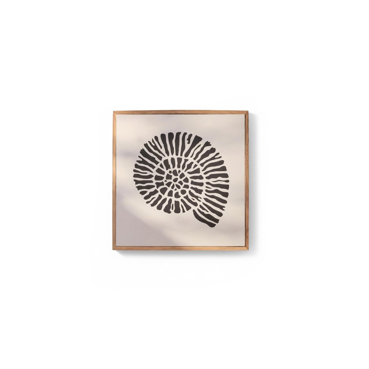 Newlyn 45x45cm Wall Art - Shell III - Laura James