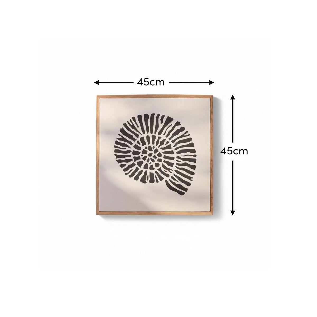 Newlyn 45x45cm Wall Art - Shell III - Laura James