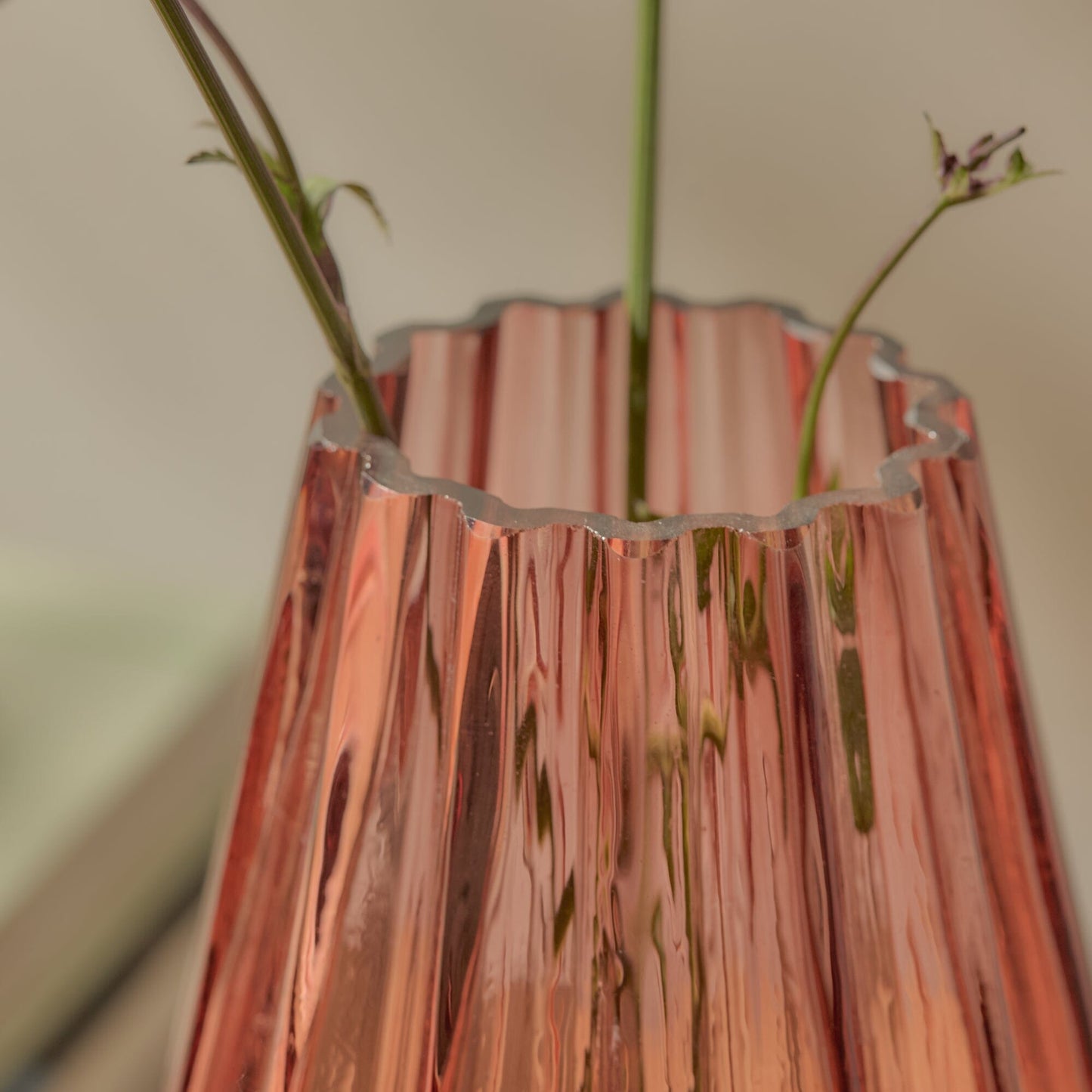 Veneto_20cm_Glass_Vase_Cerise-3 - Laura James
