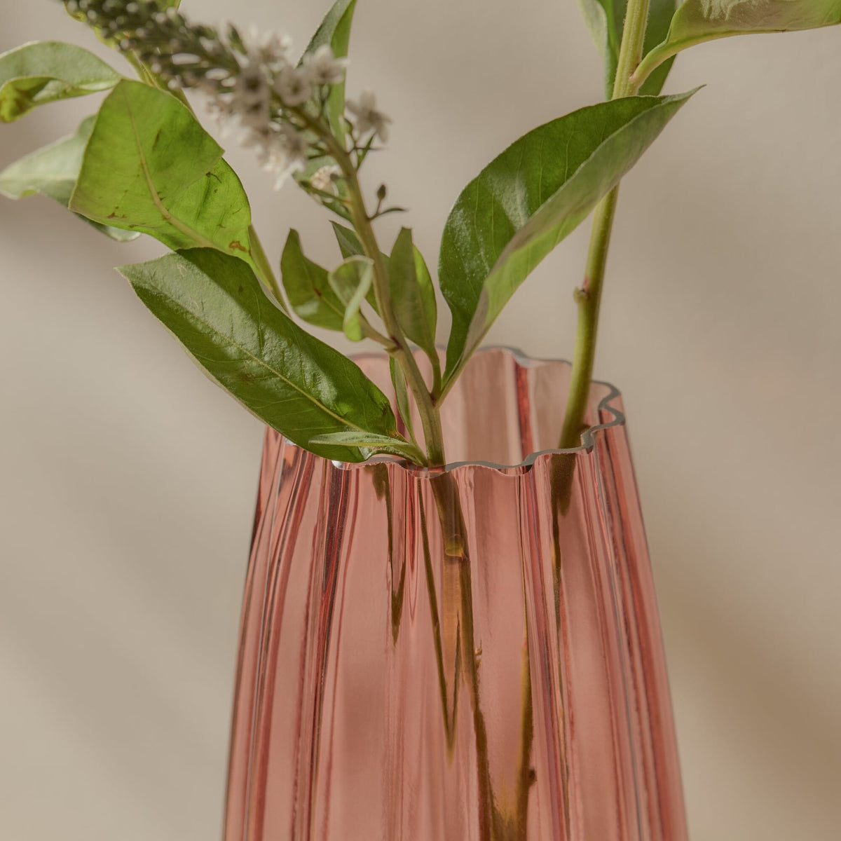 Veneto_29cm_Glass_Vase_Cerise-1 - Laura James