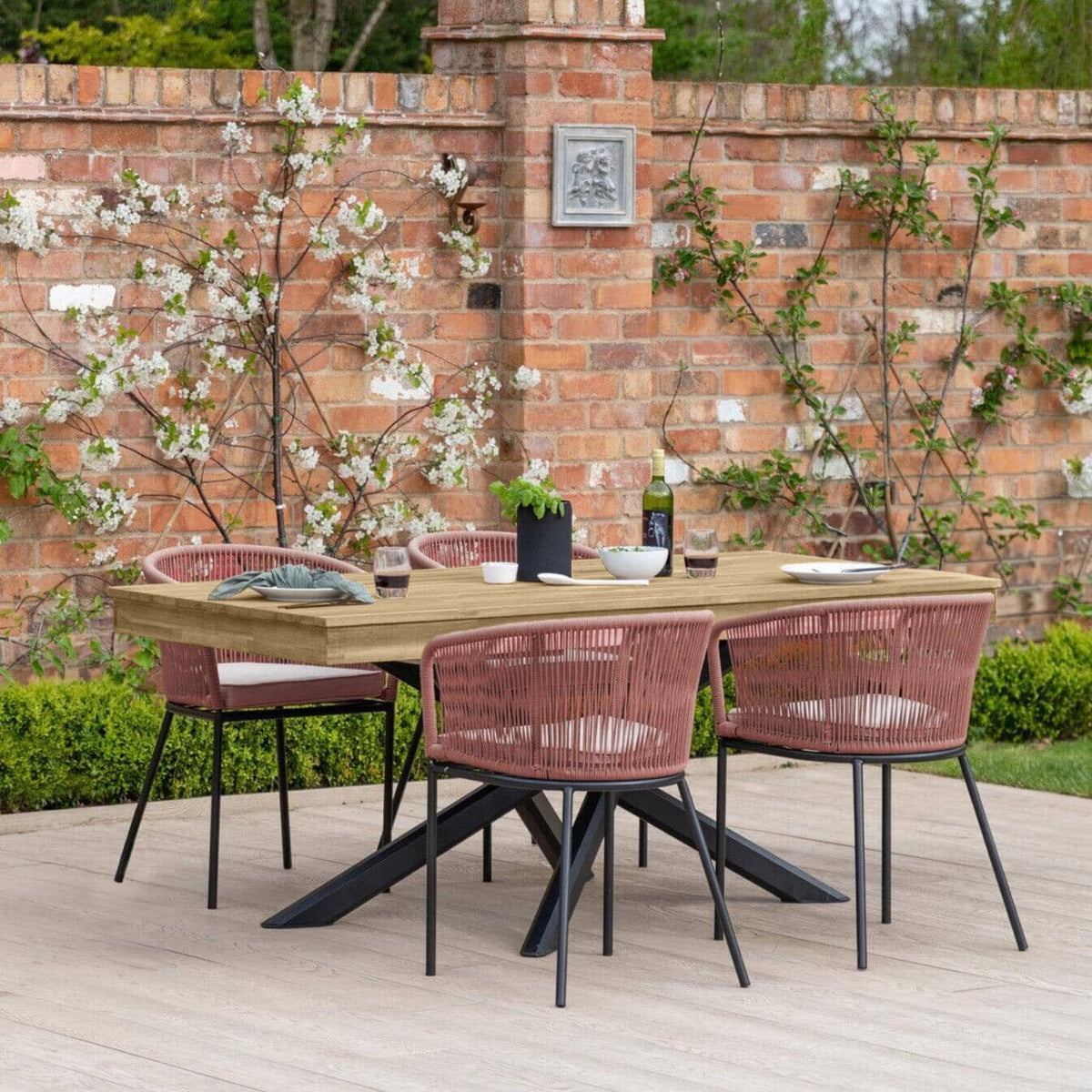 Amelia 4 Seater Natural Wood Black Legs Garden Dining Set - Hali Pink Chairs - Laura James