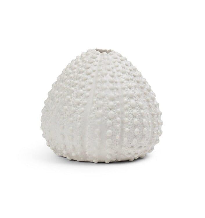 Thurnham 11cm Ceramic Sea Urchin Ornament - White - Laura James