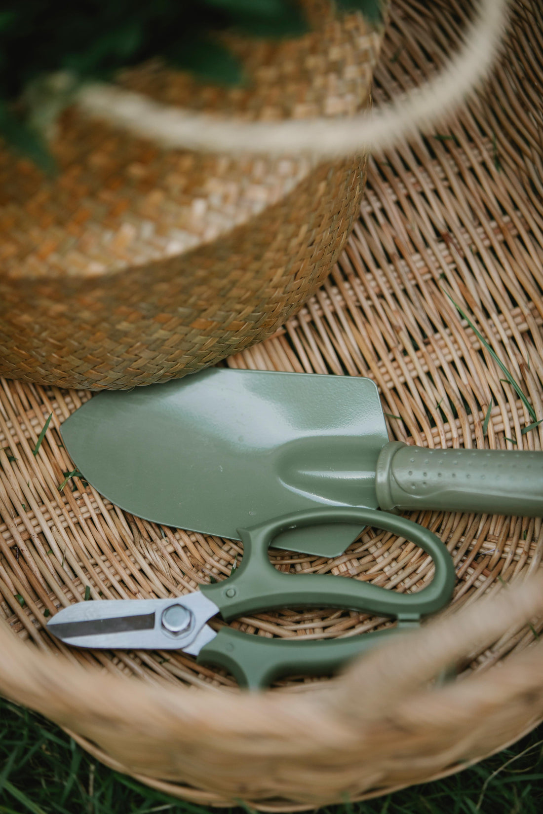 Get Your Garden Ready for Spring