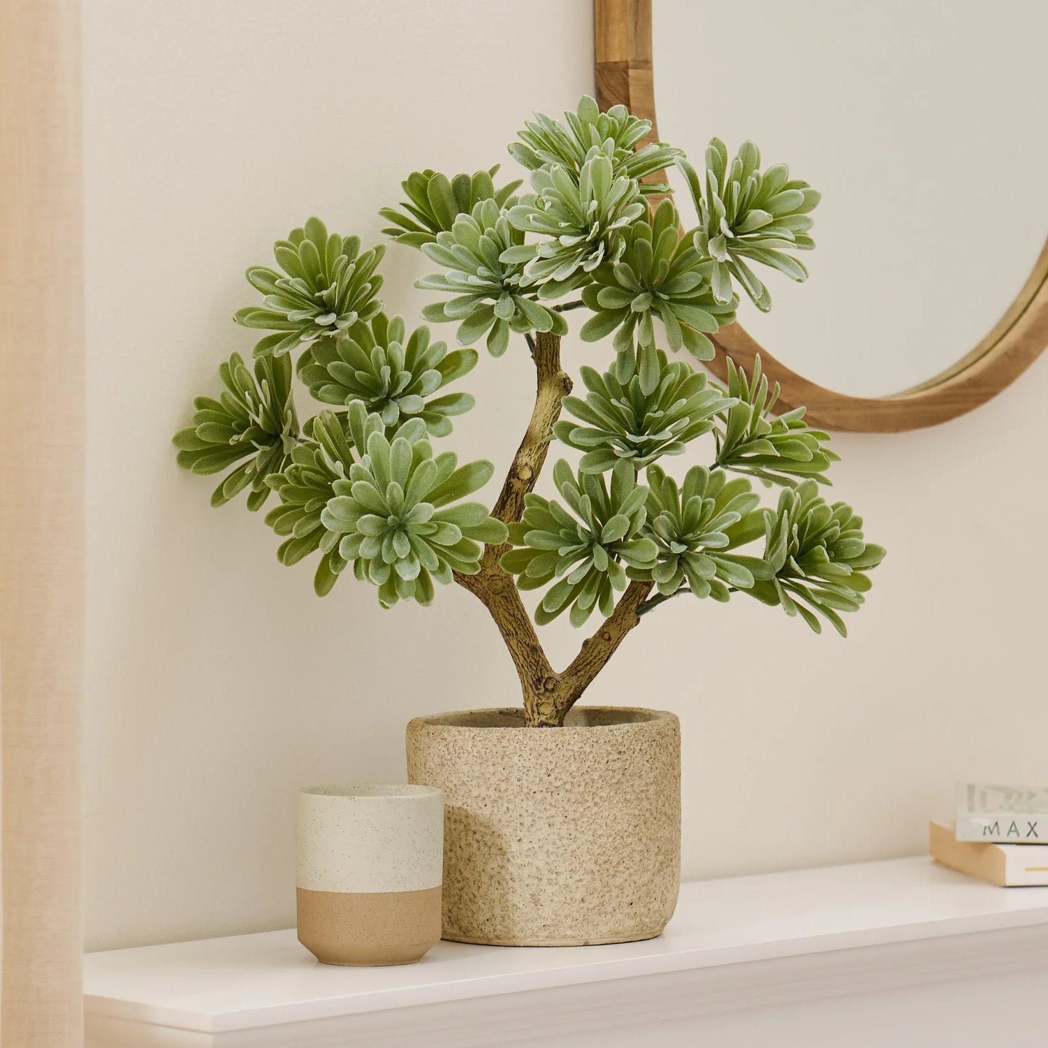 Faux Plants - Laura James
