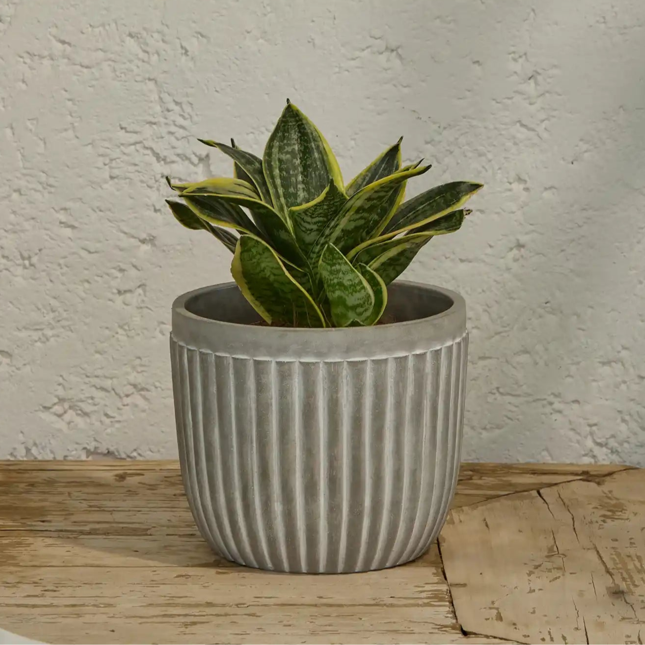 18cm plant pots Claremount Grey Cement Plant Pot