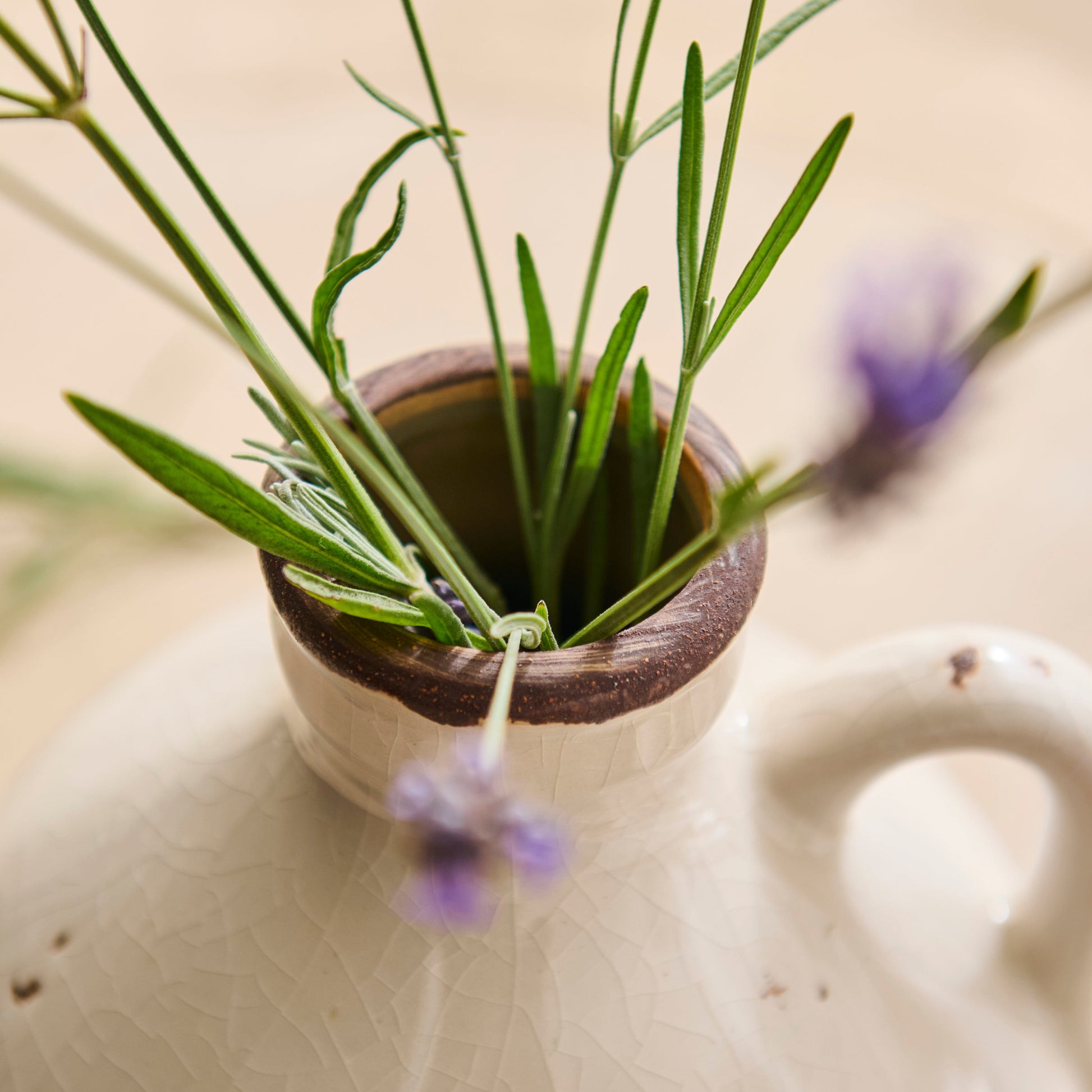 Corsino 16cm Ceramic Vase - Handle - Off White - Laura James