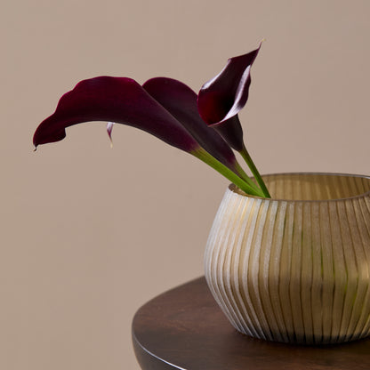 Torcello 20cm Glass Vase - Driftwood - Laura James 