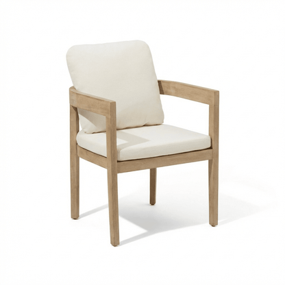 Imani Dining Chairs - Laura James