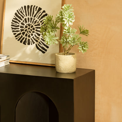 Ioni Jet Black Mango Wood Console Table - Laura James