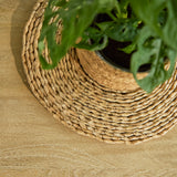 Jade Chalked Mango Wood Rectangular Coffee Table - Laura James