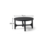 Black Mango Wood Round Coffee Table - Laura James