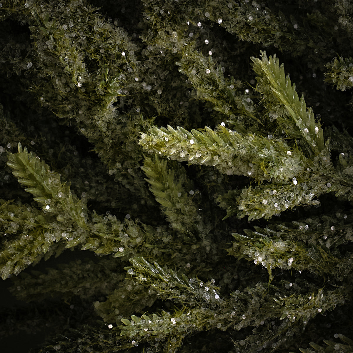 Kiruna 30cm Fir Christmas Wreath - Laura James 