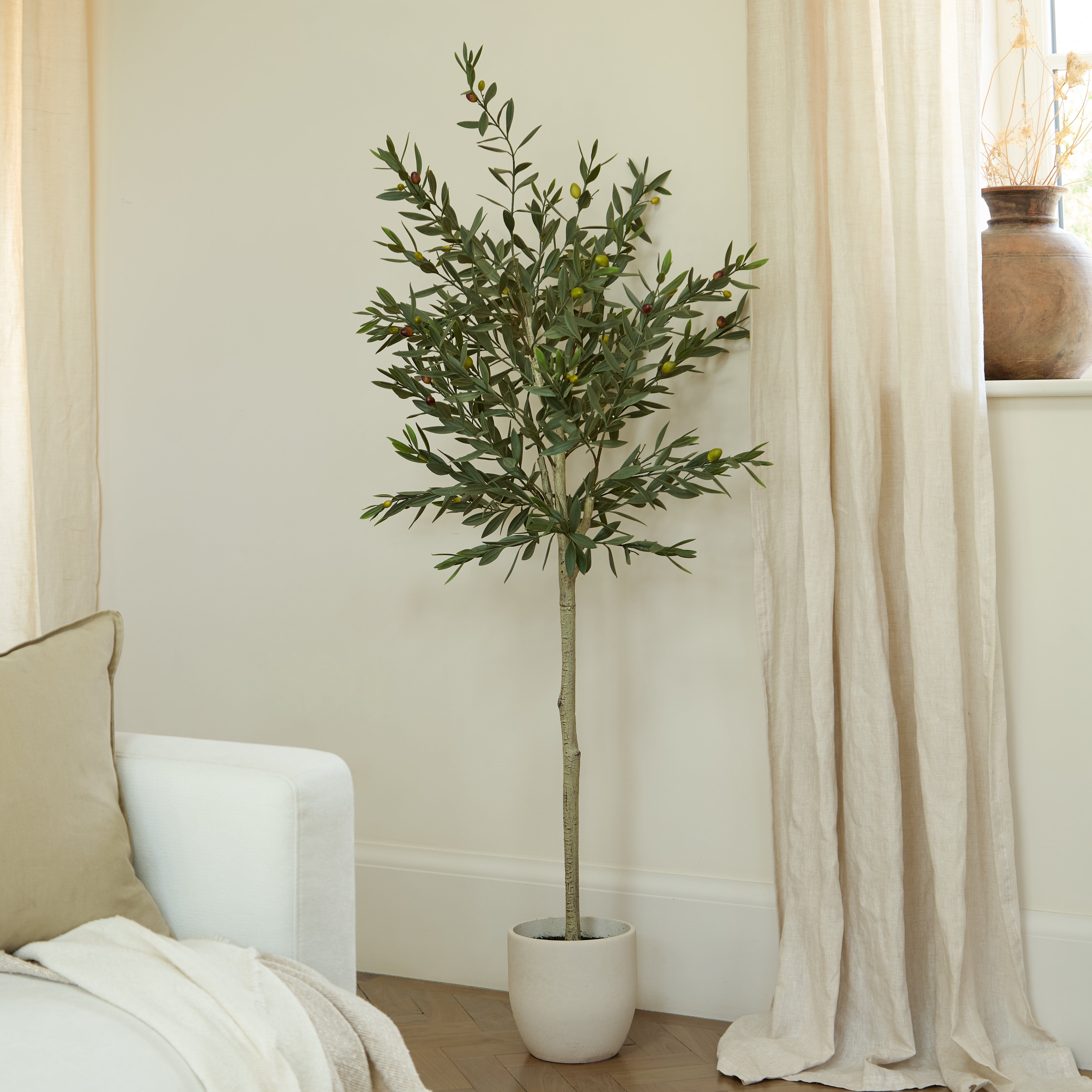 Kew Olive Tree in Cement Pot - 157cm – Laura James