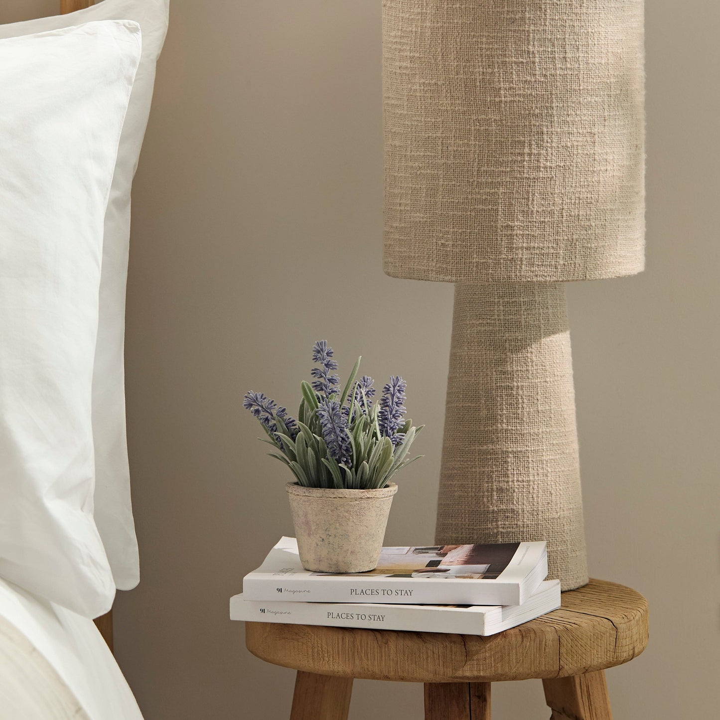 Kew Lavender Plant in Cement Pot - 18cm - Laura James