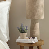 Kew Lavender Plant in Cement Pot - 18cm - Laura James