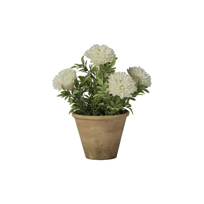 Kew 23cm Chrysanthemum In Paper Mache Pot - Laura James 