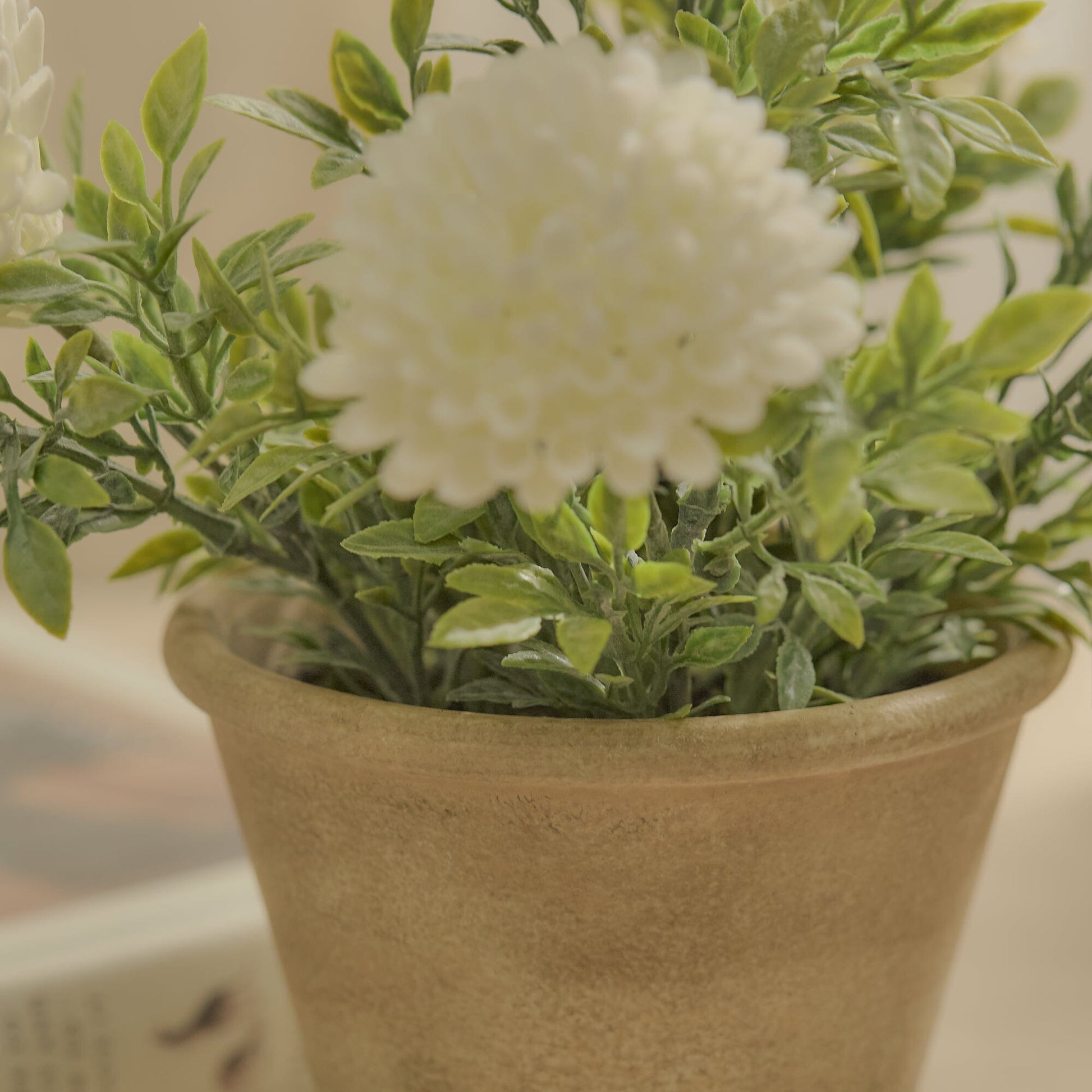 Kew 23cm Chrysanthemum In Paper Mache Pot - Laura James 
