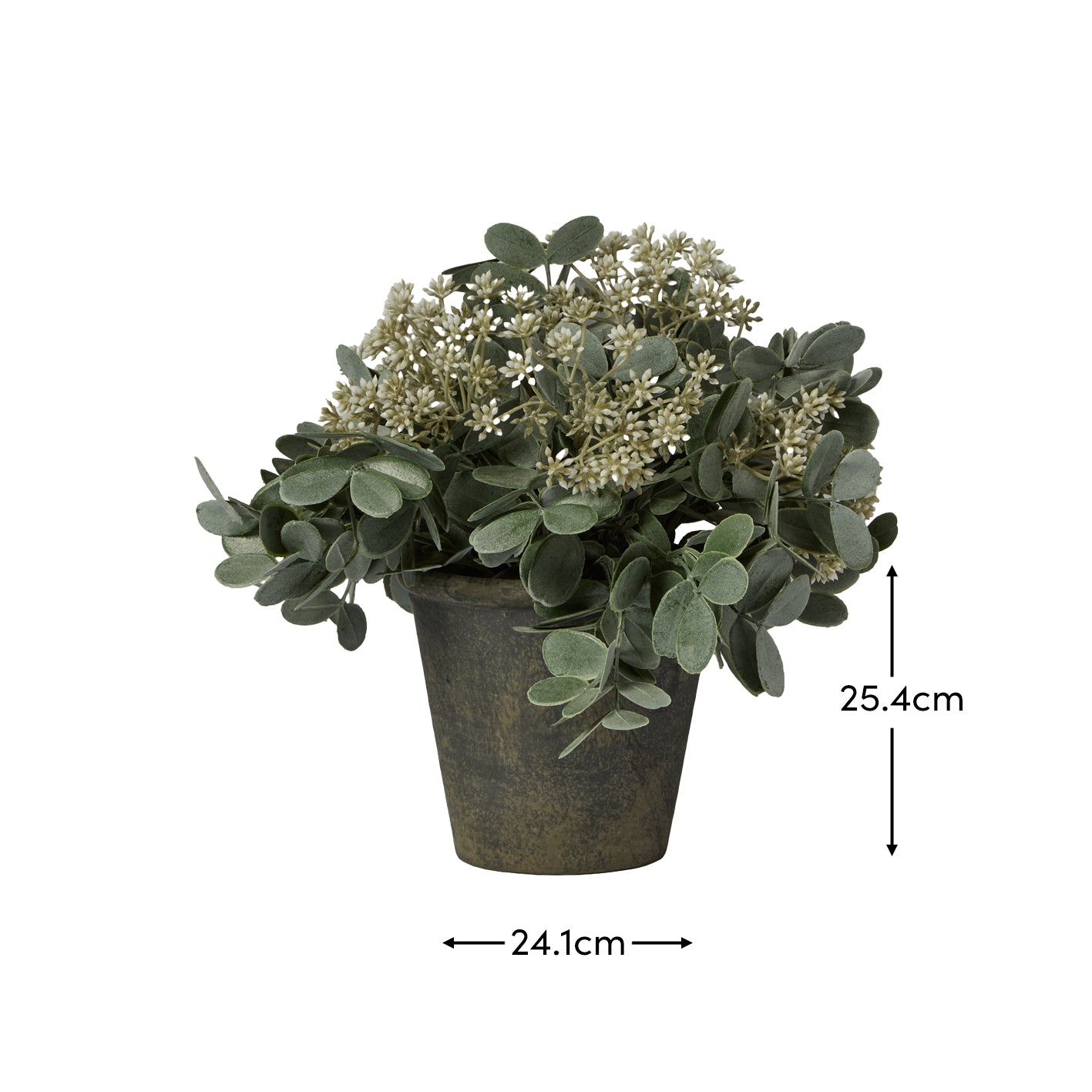 Kew 24cm Arachis Flower In Paper Mache Pot