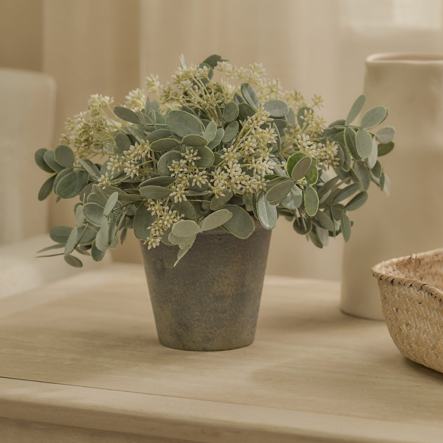 Kew 24cm Arachis Flower In Paper Mache Pot