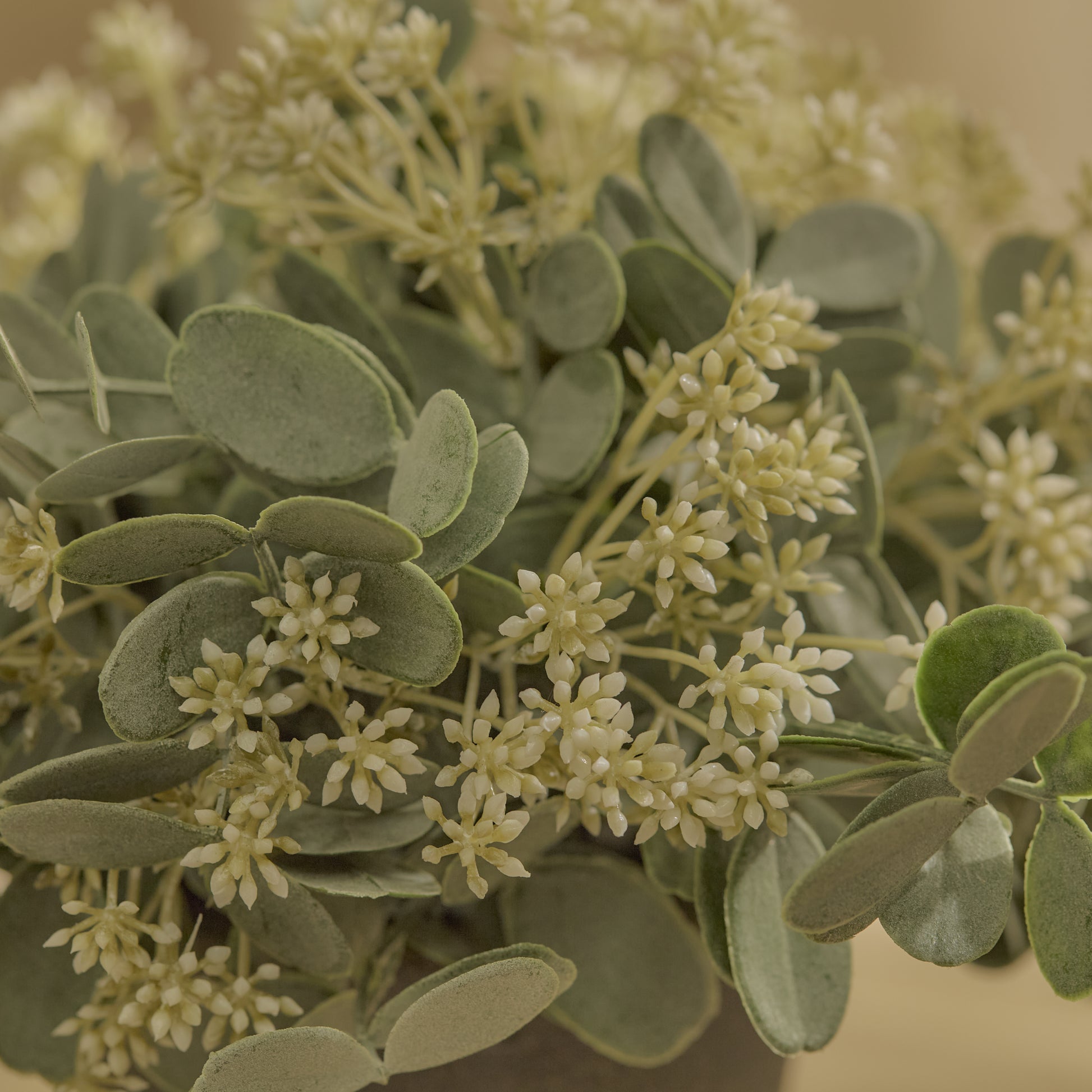 Kew 24cm Arachis Flower In Paper Mache Pot