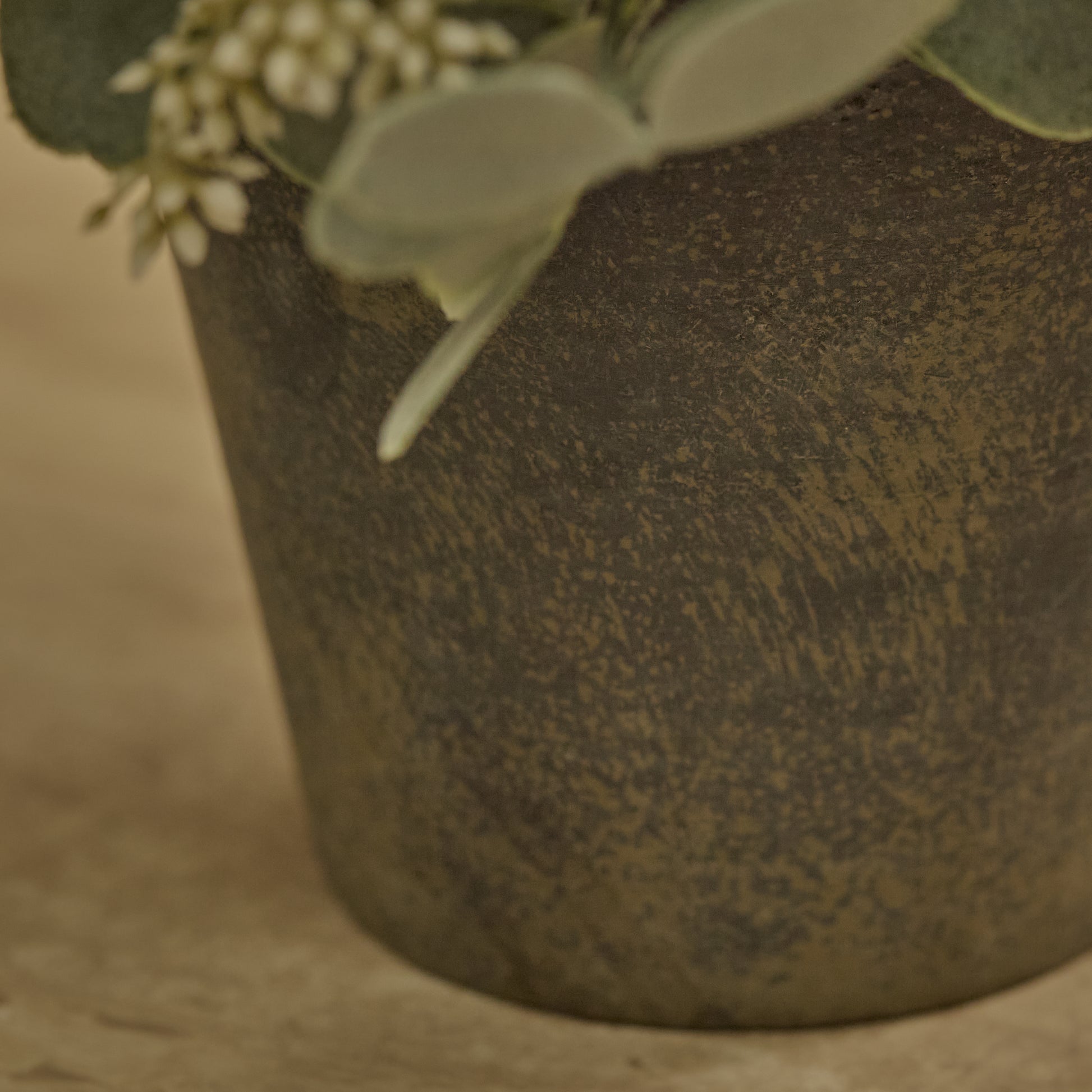 Kew 24cm Arachis Flower In Paper Mache Pot