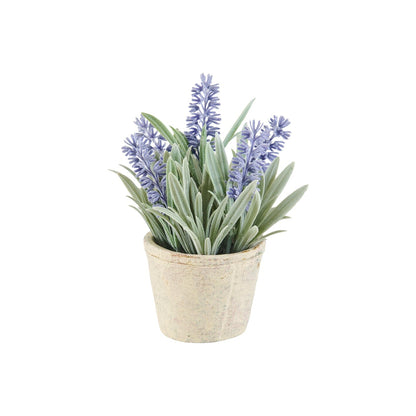 Kew Lavender Plant in Cement Pot - 18cm - Laura James