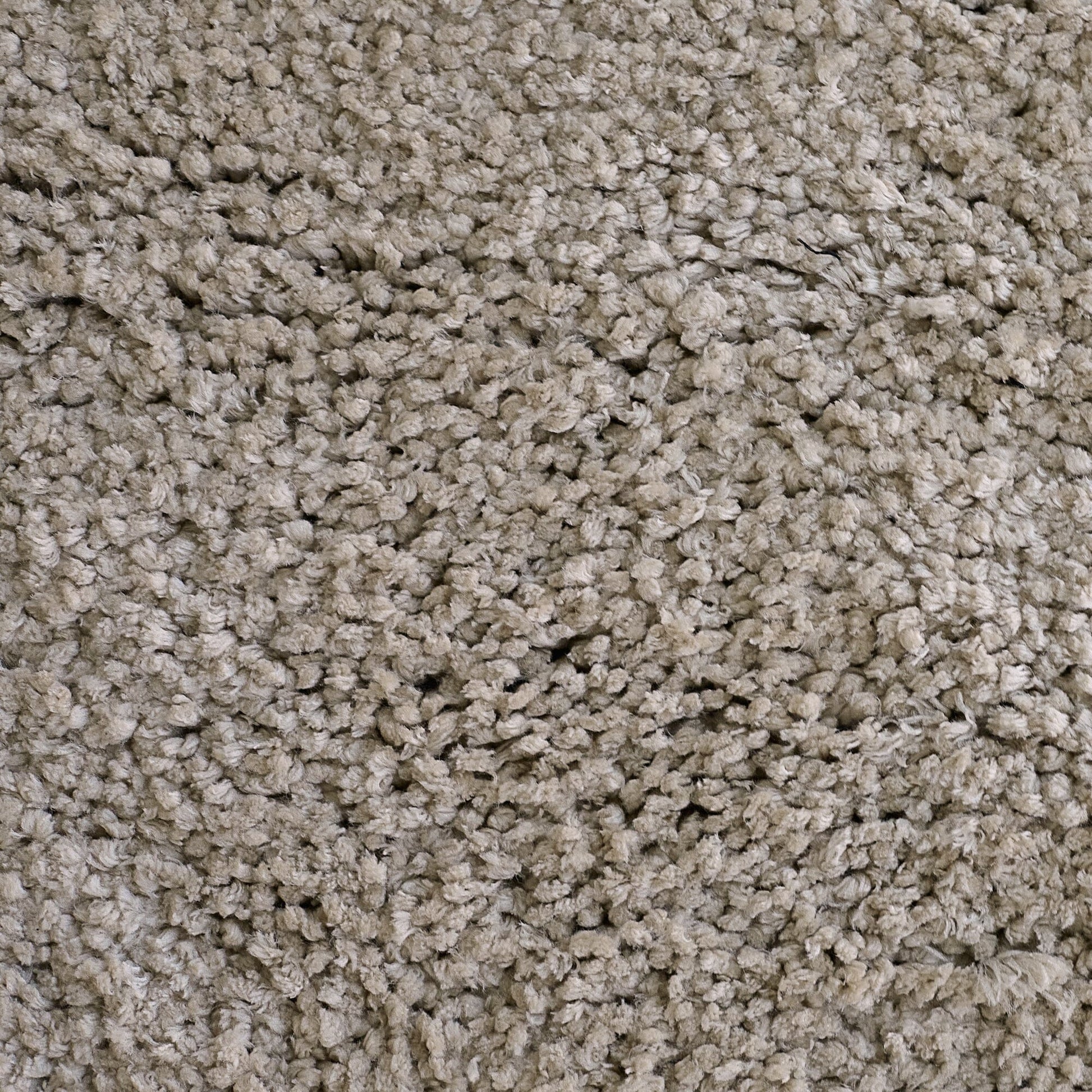 Kingsley Polyester Rug 200x290cm - Taupe - Laura James 