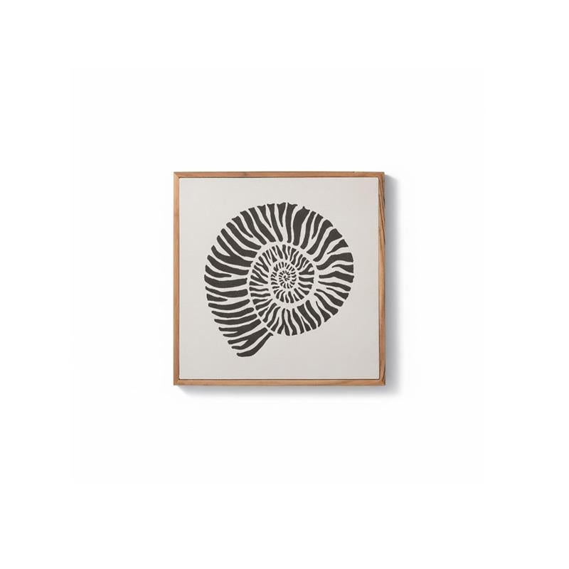 Newlyn 45x45cm Wall Art  - Shell I - Laura James