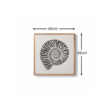 Newlyn 45x45cm Wall Art  - Shell I - Laura James