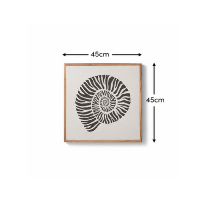 Newlyn 45x45cm Wall Art  - Shell I - Laura James