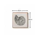 Newlyn 45x45cm Wall Art - Shell II - Laura James