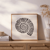 Newlyn 45x45cm Wall Art - Shell II - Laura James