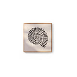 Newlyn 45x45cm Wall Art - Shell III - Laura James