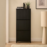 Raleigh 3 Door Shoe Cabinet - Black - Laura James 