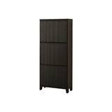 Raleigh 3 Door Shoe Cabinet - Black - Laura James 