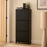 Raleigh 3 Door Shoe Cabinet - Black - Laura James 