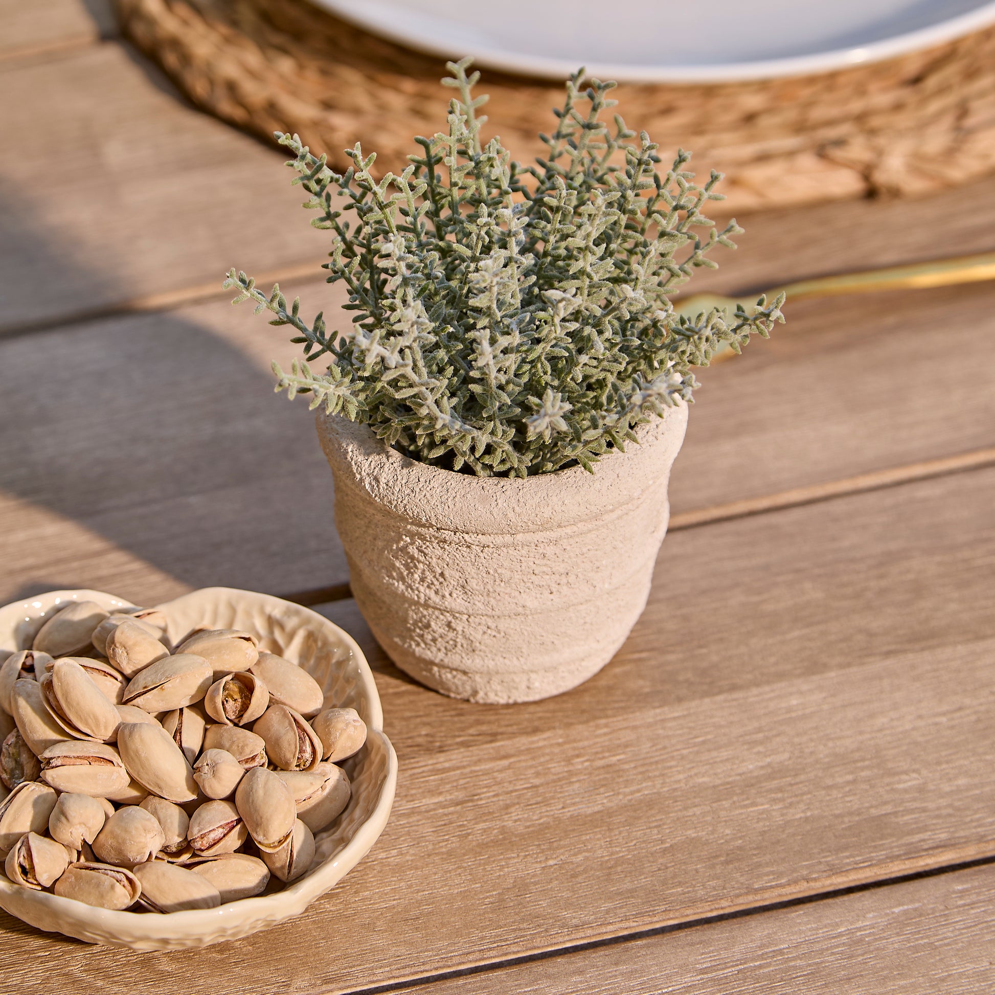 Shiro 6 Seater Wooden Garden Dining Set with 2 Shiro Benches & 2 Shiro Chairs - Green Rope - Laura James