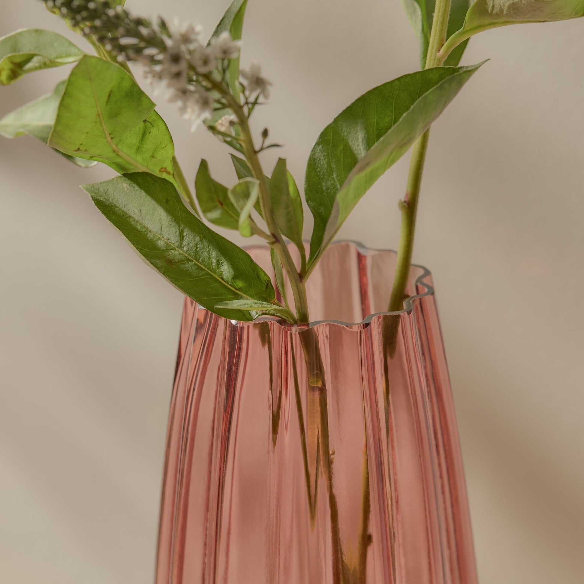 Veneto_29cm_Glass_Vase_Cerise-1 - Laura James