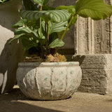Viana Terracotta 14.5cm Wide Pot - Rustic Green - Laura James