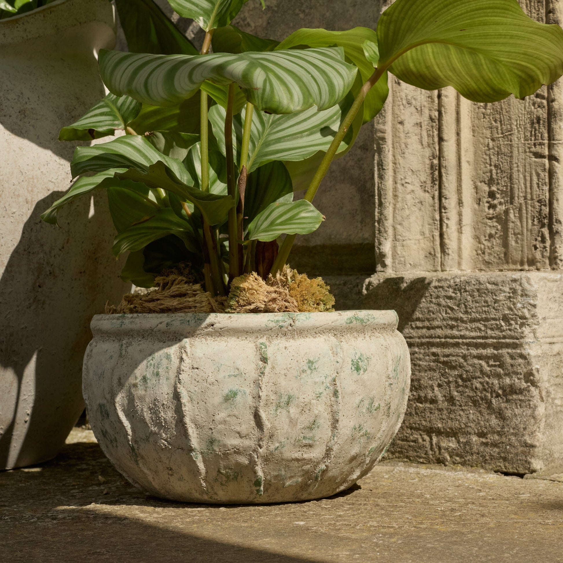 Viana Terracotta 14.5cm Wide Pot - Rustic Green - Laura James
