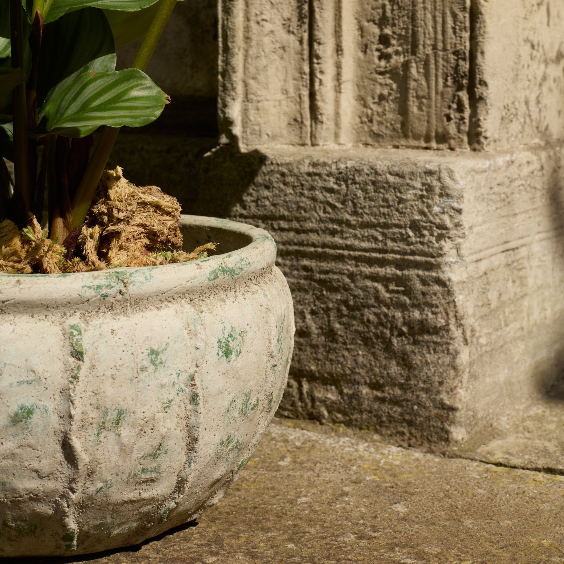 Viana Terracotta 14.5cm Wide Pot - Rustic Green - Laura James