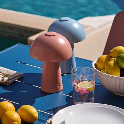 Wilder 6 Seater Blue Dining Table Set with Wren Pink Chairs - Laura James