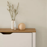 Windsor Shoe Cabinet - 2 Door - White - Laura James 