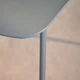 Wren Dining Chairs - Set of 2 - Blue - Laura James 