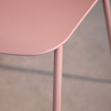 Wren Dining Chairs - Set of 2 - Pink - Laura James 