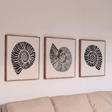 Newlyn 45x45cm Wall Art - Set of 3